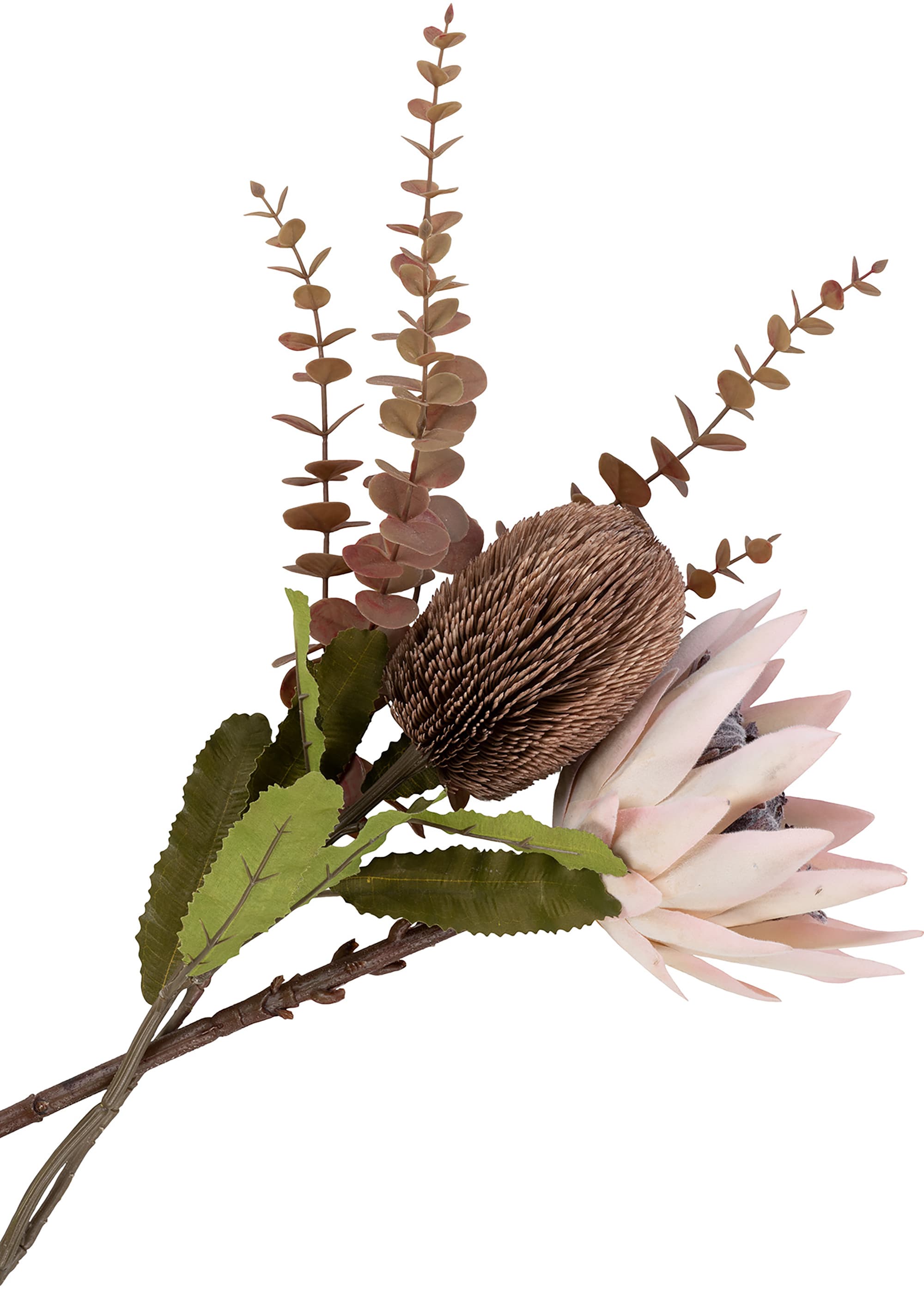 House Nordic kuningasprotea 65cm (tekokasvi)
