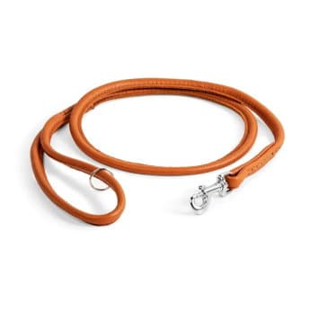 Show Dog Näyttelytalutin Leather, 120 cm (Vaaleanruskea)