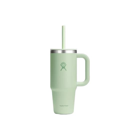 Hydro Flask All Around Aloe termosmuki, 700 ml