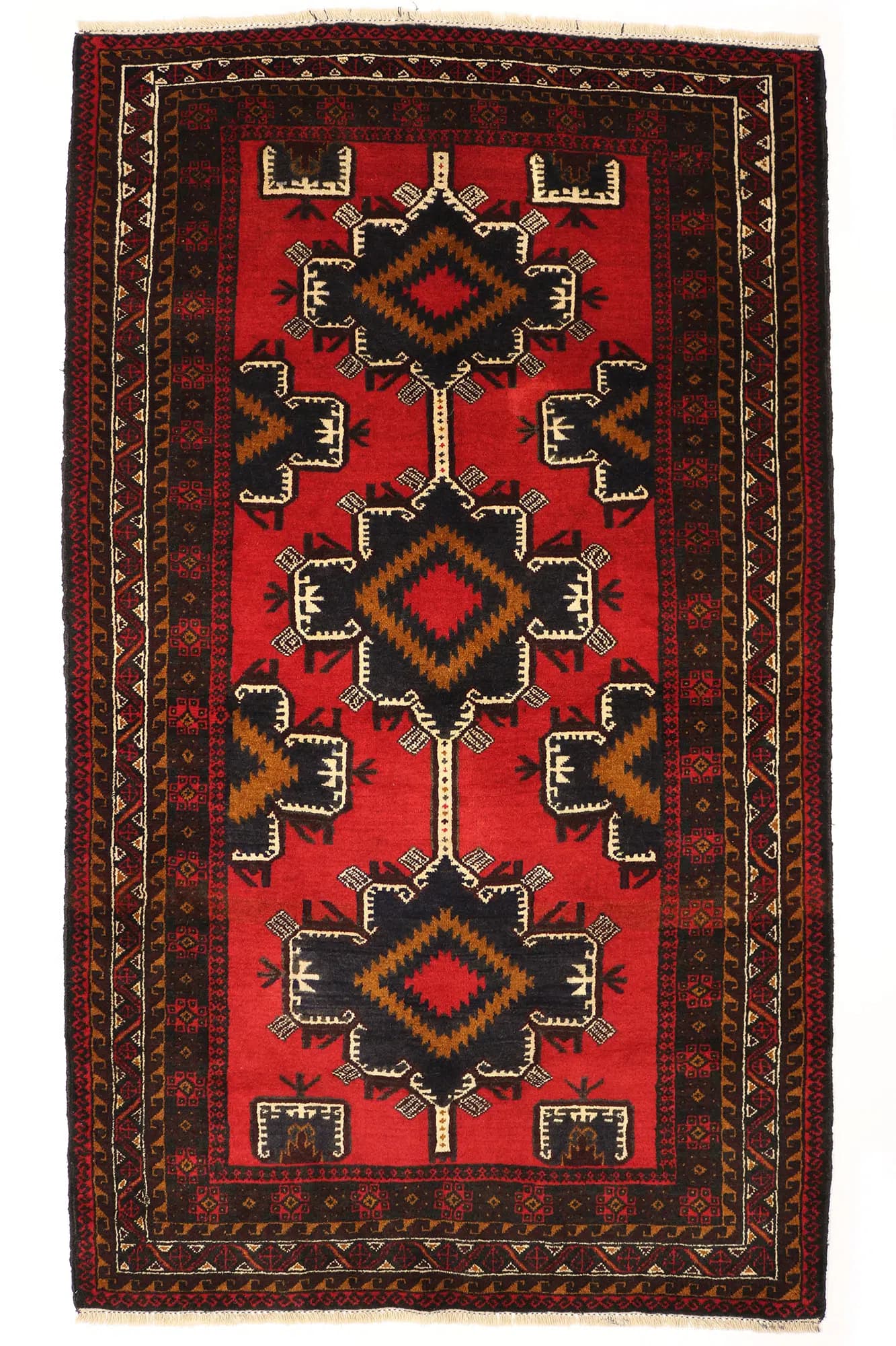 Beluch 116x199cm