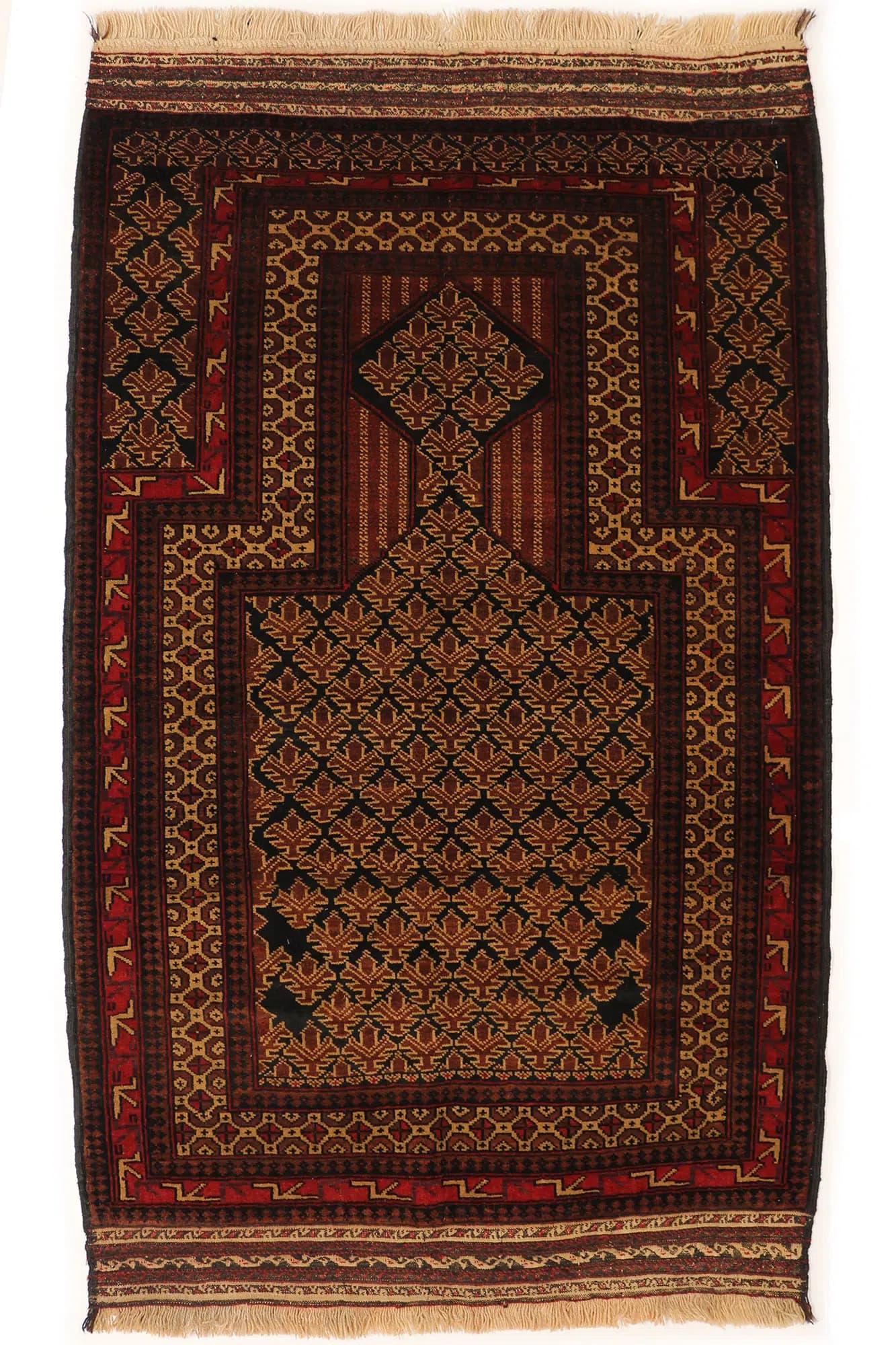 Beluch 92x153cm