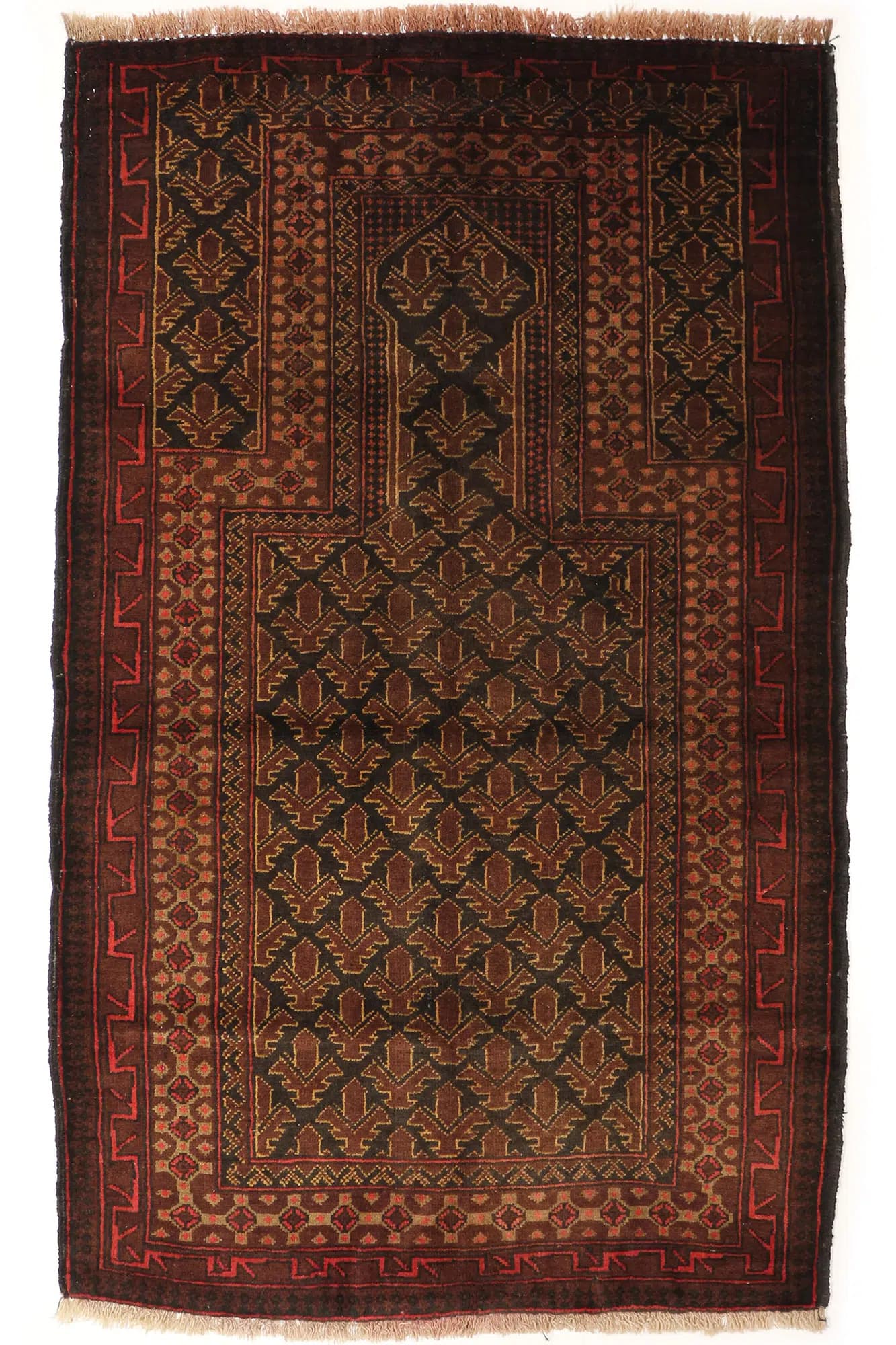 Beluch 93x151cm