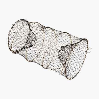Rapumerta, 25 cm