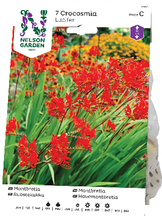 Ruostekukka sipuli Lucifer 7kpl -15%