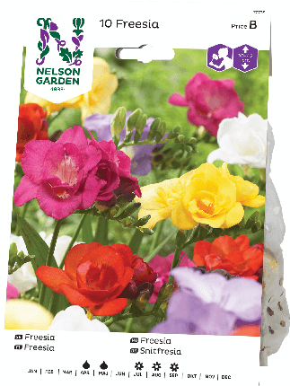 Freesia mukula värisekoitus 8kpl -15%