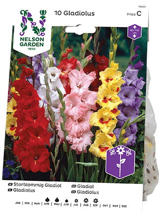 Gladiolus mukula väriseos 10kpl -15%