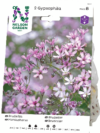 Morsiusharso sipuli 2kpl -15%