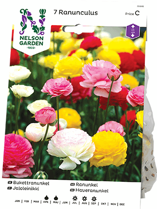 Jaloleinikki sipuli värisekoitus 7kpl -15%