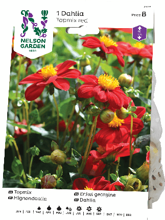 Daalia juurakko Topmix red -15%