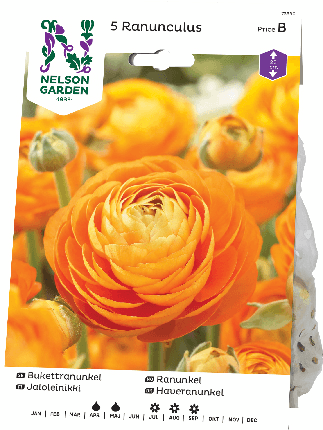 Jaloleinikki juurakko oranssi 5kpl -15%