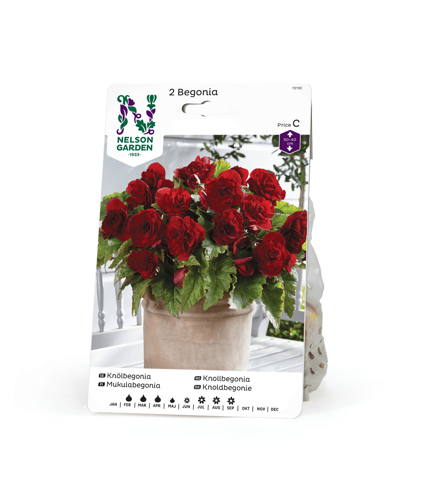 Begonia mukula 2kpl -15%