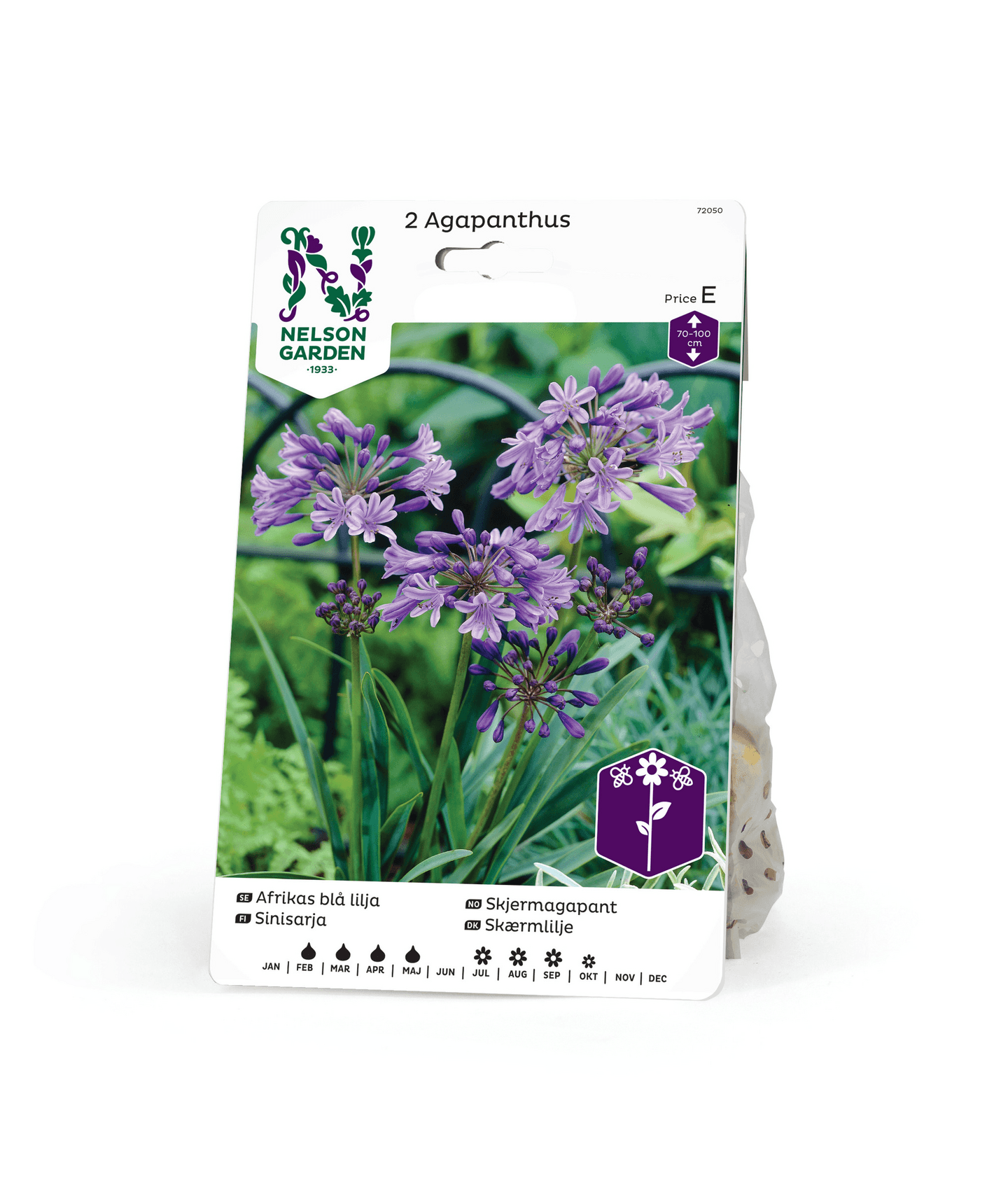 Tarhasinisarja sipuli Agapanthus 2kpl