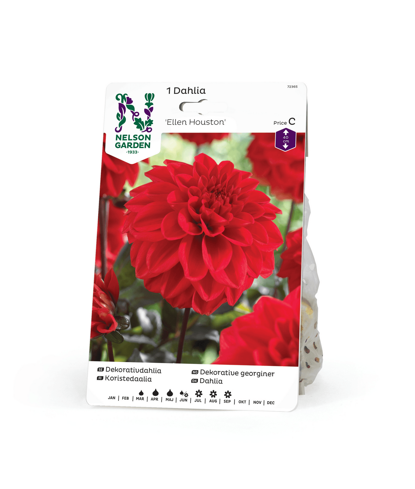 Daalia juurakko Ellen Houston -15%