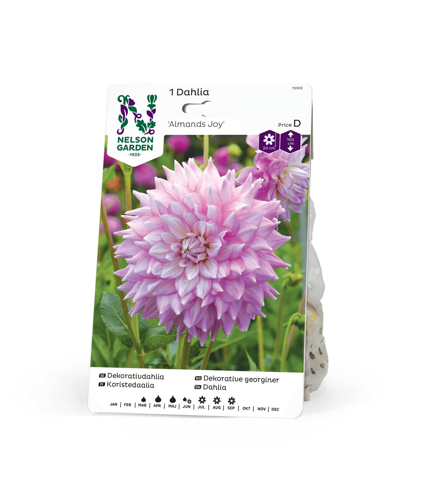 Koristedaalia sipuli Almands Joy