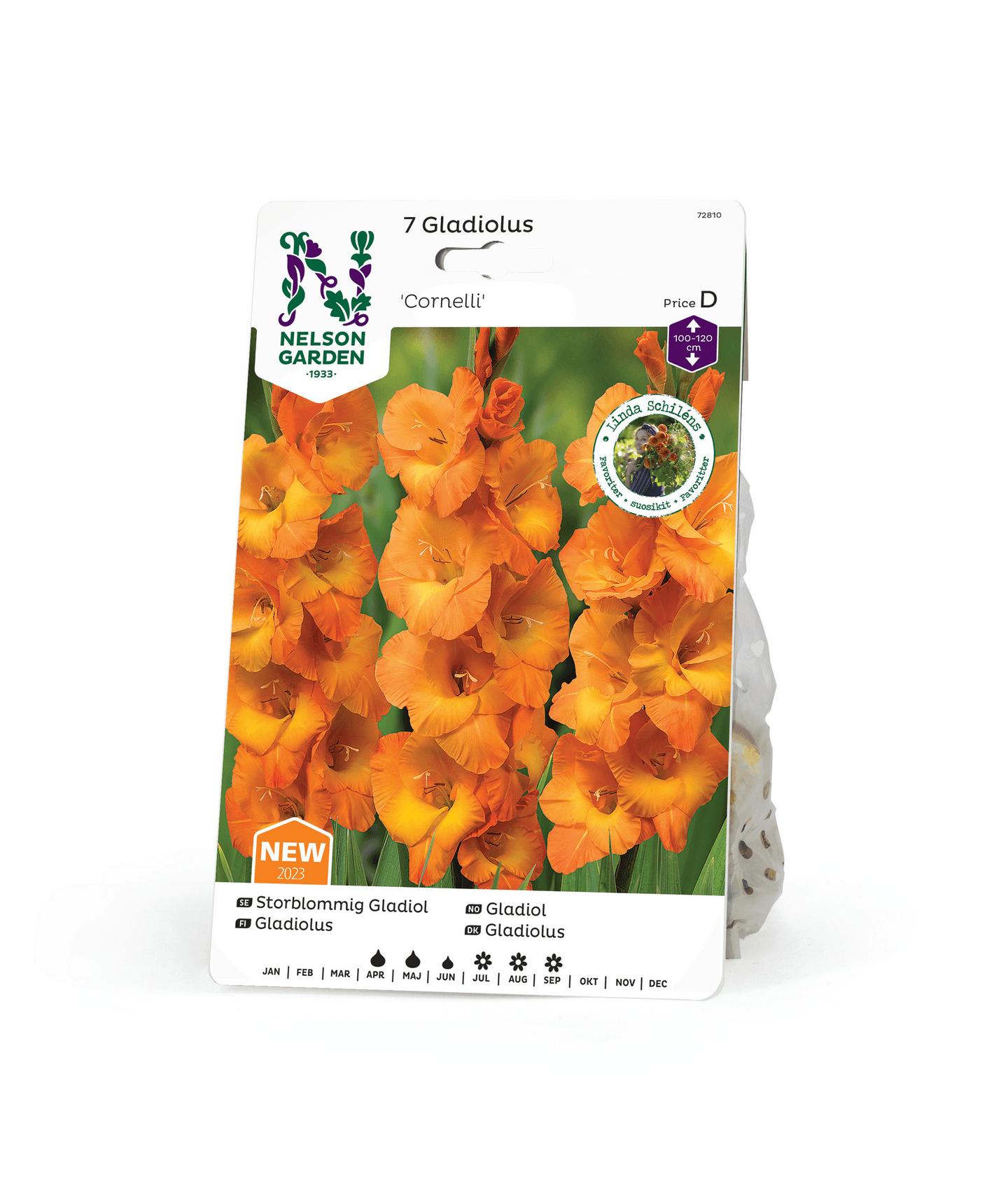 Miekkalilja sipuli Cornelli 7kpl -15%