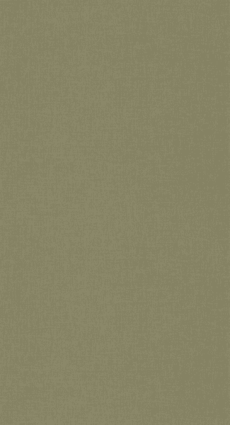 Kuitutapetti Caselio Balade Uni BLD100607405 10,05m