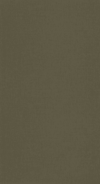 Kuitutapetti Caselio Balade Uni BLD100607537 10,05m