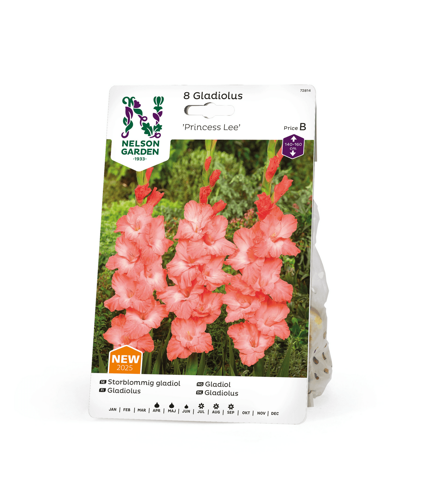 Miekkalilja sipuli Princess Lee 8kpl -15%