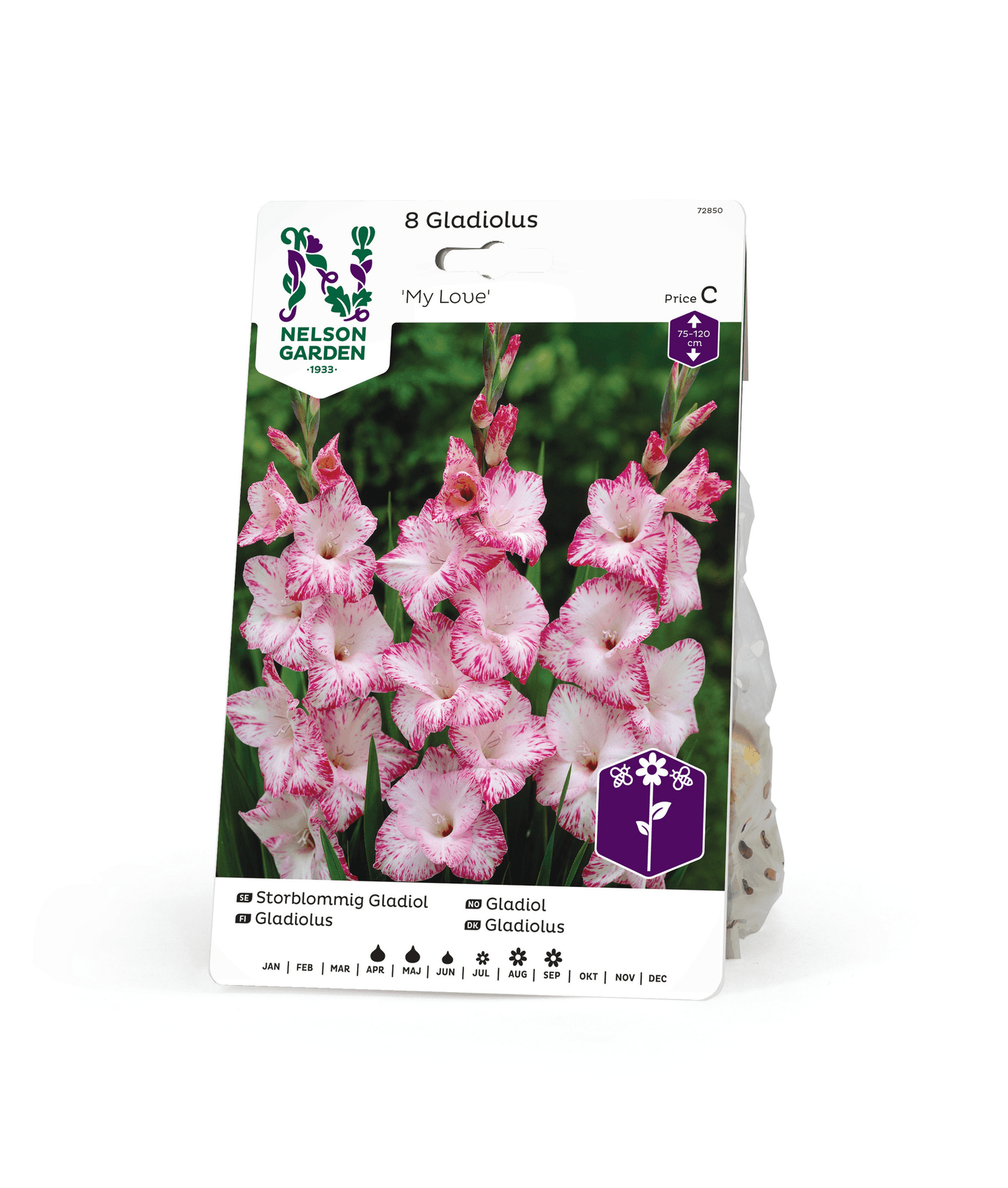 Miekkalilja sipuli Gladiolus my love 8kpl -15%