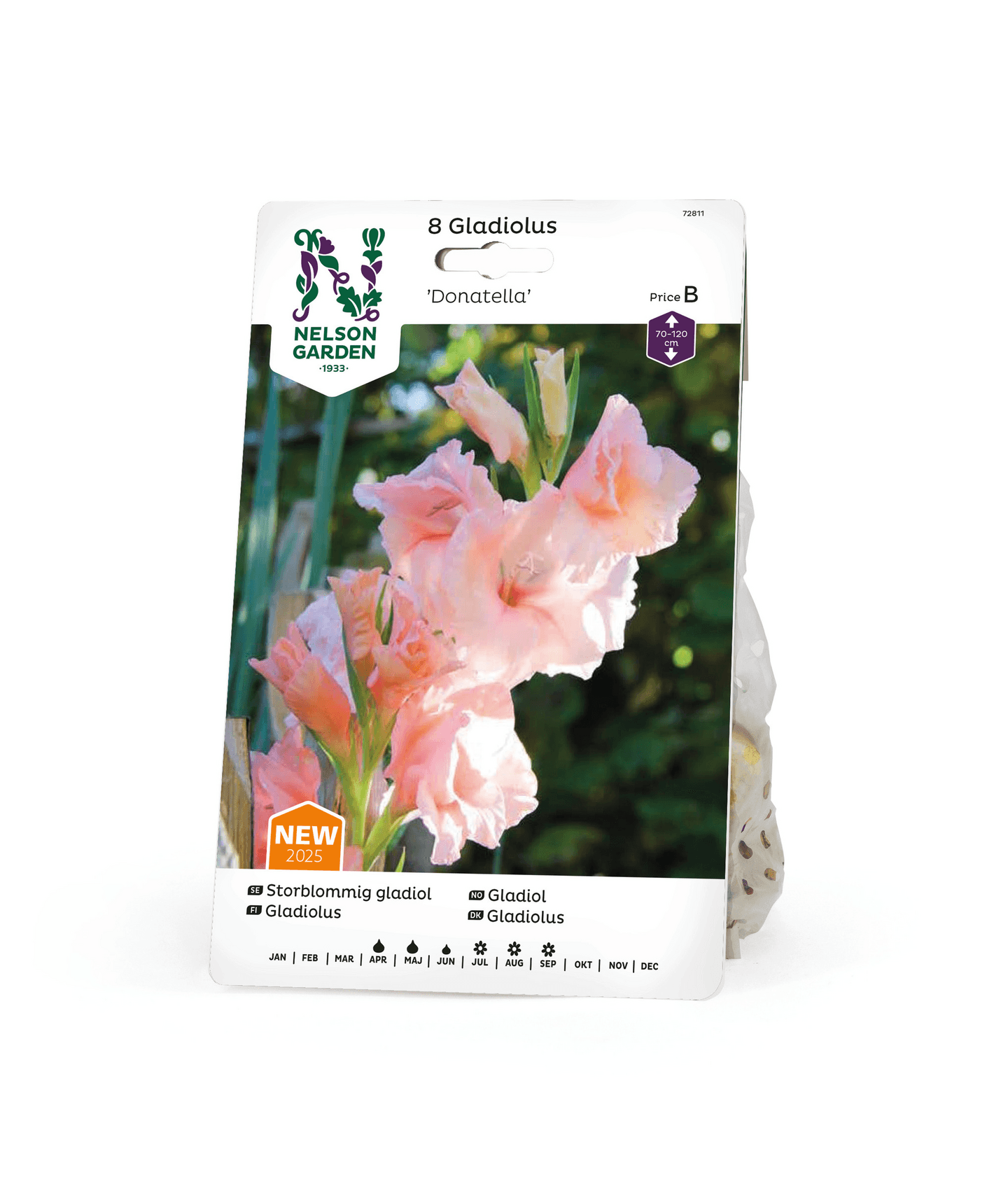 Miekkalilja sipuli Donatella 8kpl -15%