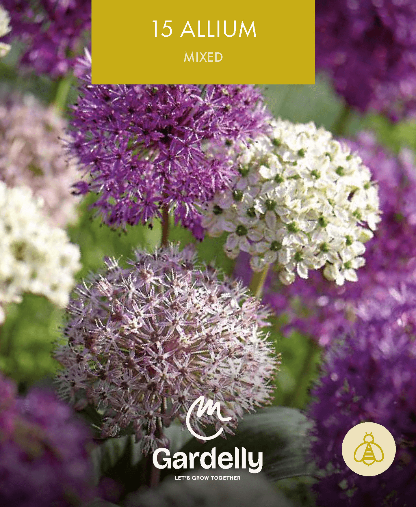 Koristelaukka Allium sekoitus 15kpl