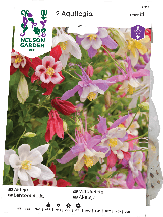 Lehtoakileija sipuli 2kpl