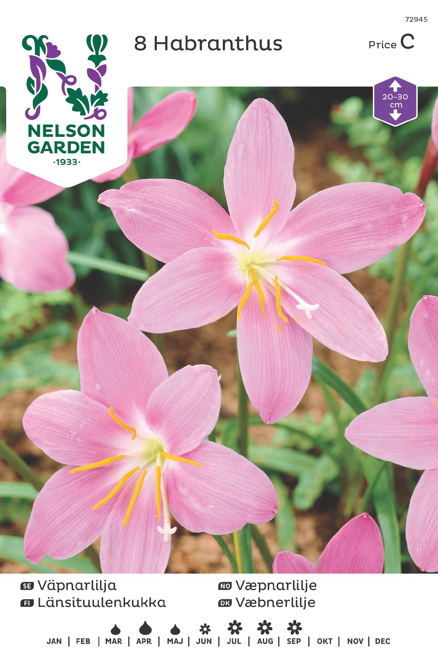 Länsituulenkukka sipuli roosa 8kpl -15%