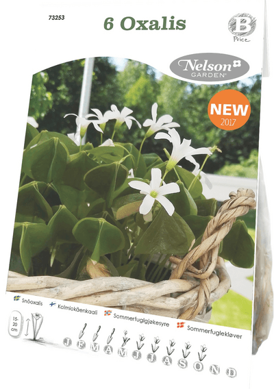 Kolmiokäenkaali sipuli 6kpl -15%