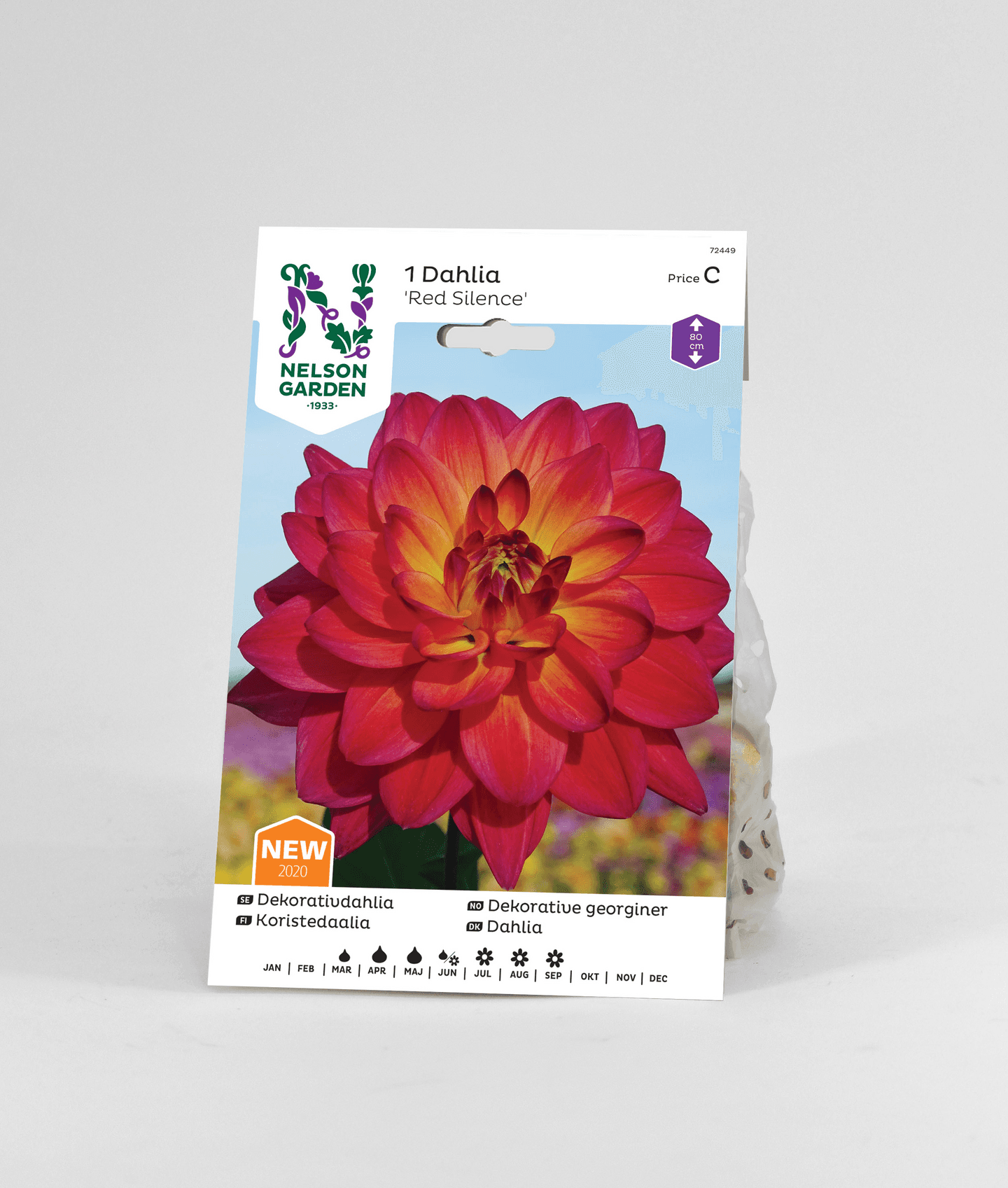 Koristedaalia sipuli Red Silence -15%