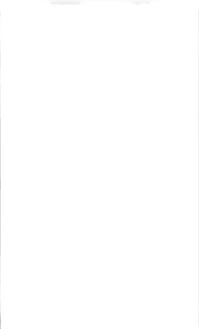 Seinälaatta Cello Primus 25x40 25001.0 valkoinen kiiltävä 1,5m²