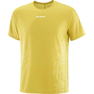 Salomon Sense Aero Graphic Mens