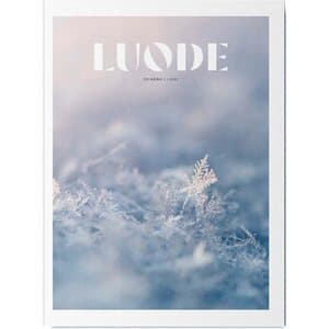 Luode -lehti