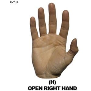 Law Enforcement Targets Open Right Hand Hand Overlay -65%