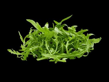 Rucola