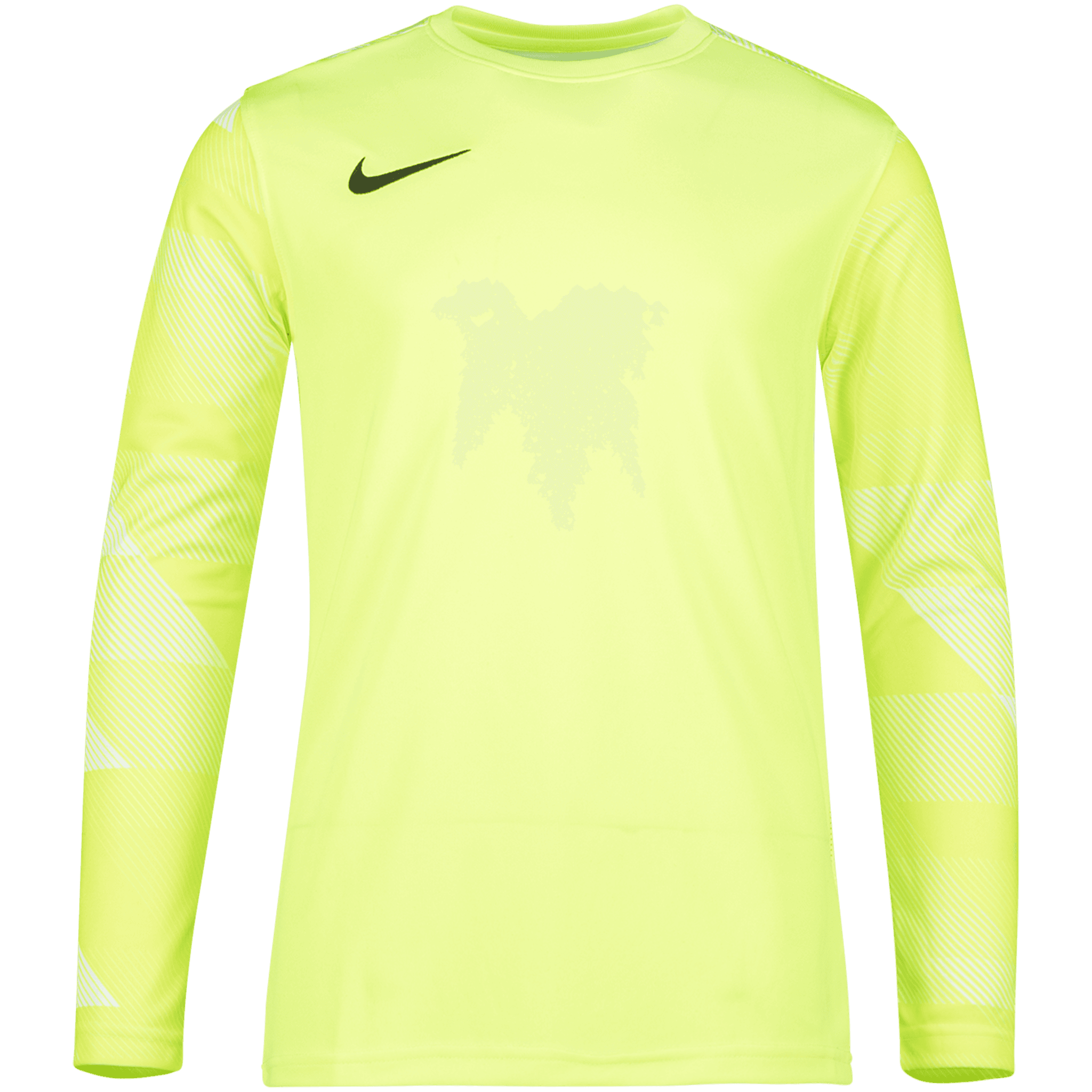 Dri-FIT Park IV Jersey Long Sleeve Goalkeeper, nuorten maalivahdinpaita -89%