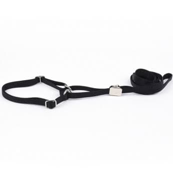 Show Dog Näyttelytalutin litteä puolikiristävä kaulain pyykkipoika-säädöllä, musta (10 mm x 110 cm)