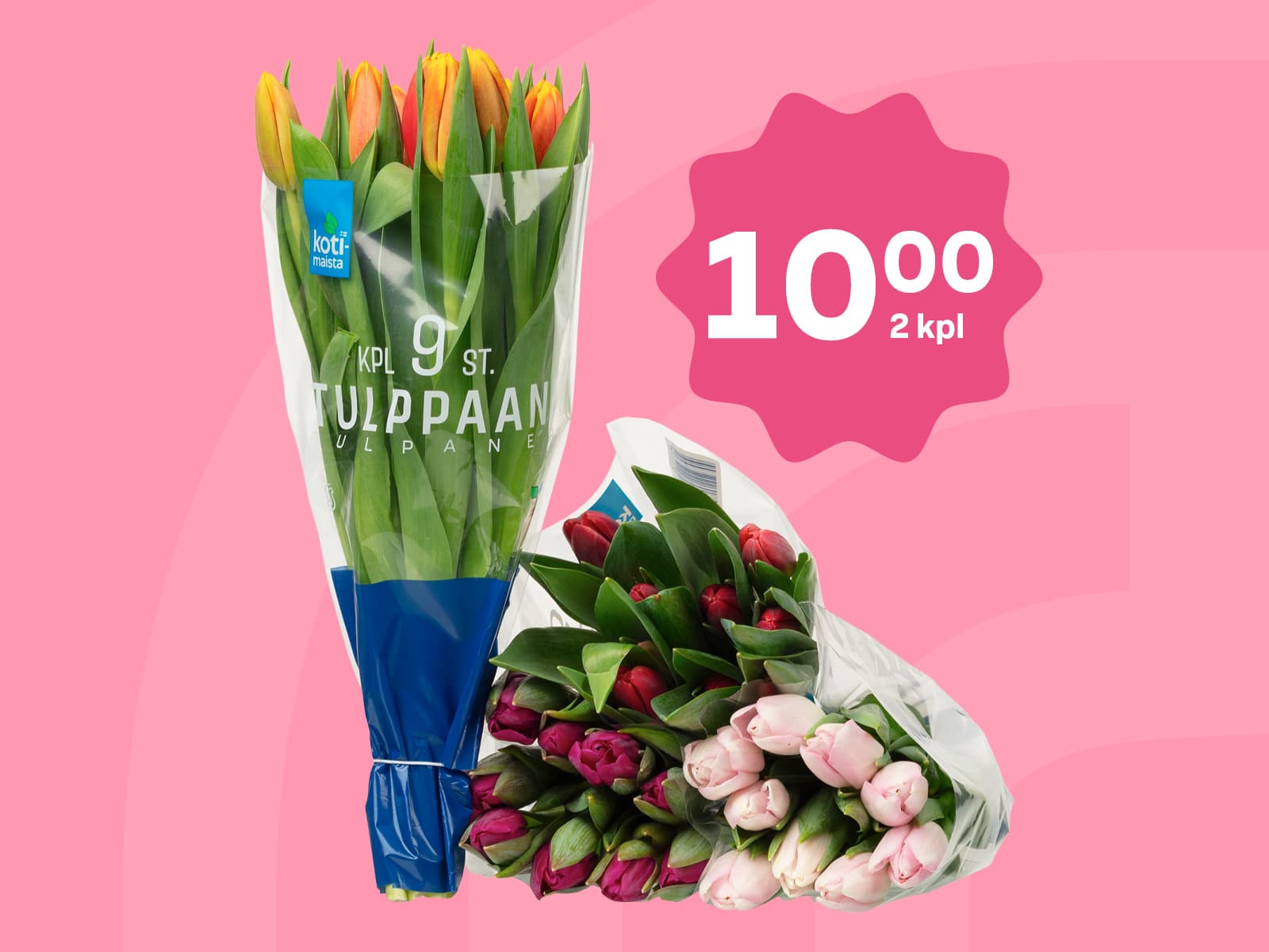 Kotimaista-tulppaanit 9 kpl: 2 kpl = 10 €