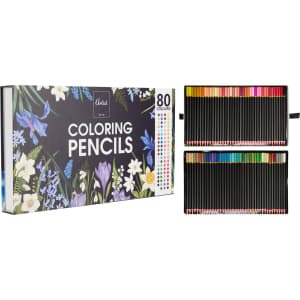 Artist Coloring Pencils 80 kpl värikynä