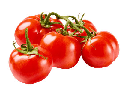 Terttutomaatti