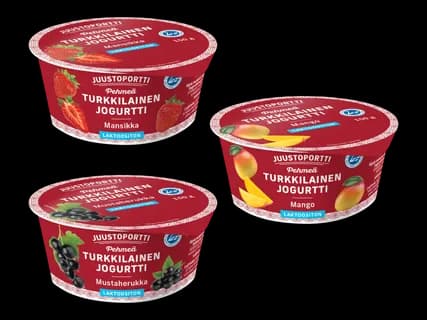JUUSTOPORTTI Pehmeä turkkilainen jogurtti 4 kpl