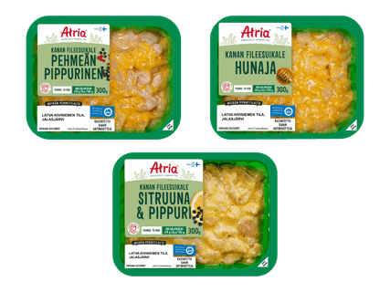 ATRIA Kanan fileesuikale 5 kpl