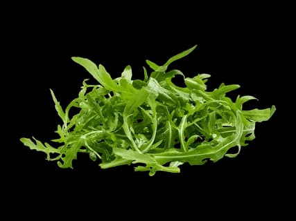 Rucola