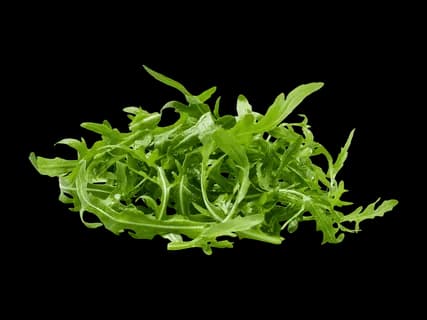 Rucola
