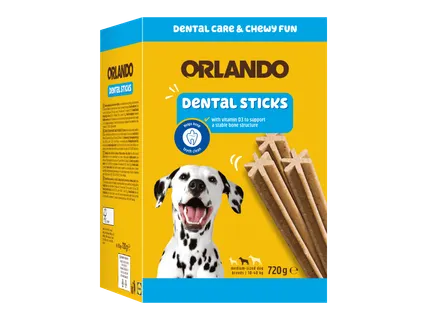 ORLANDO Dental-purutikut 2 kpl