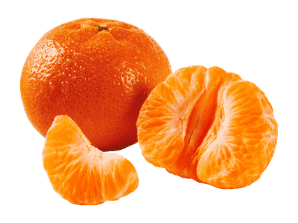 Satsuma