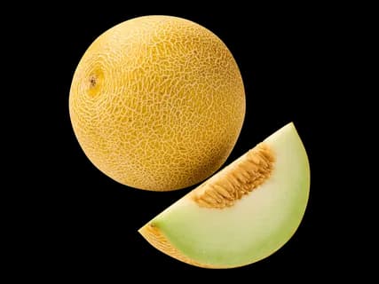 Galiameloni