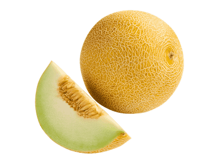 Galiameloni