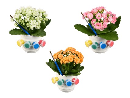 Tulilatva DIY-ruukussa 2,99 €