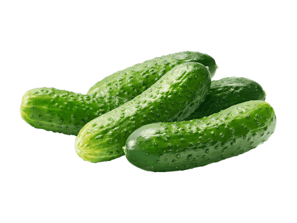 Kotimainen avomaankurkku