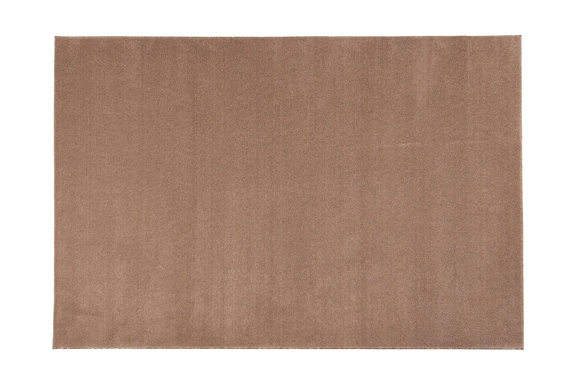 VM Carpet Matto Puuteri 200x300 cm Ruskea